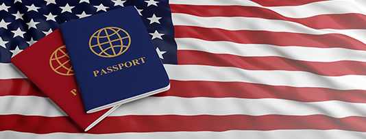 USA Visa Consultation